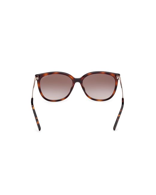 Guess Black Gu00150-H 52F Sunglasses Injected Marrone Squared Normal Sfumato