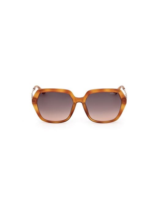 Guess Black Gu00267 53F Sunglasses Injected Geometric Normal