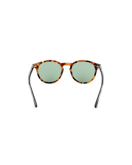 Web Black We0328 56N Sunglasses Acetate Round Normal