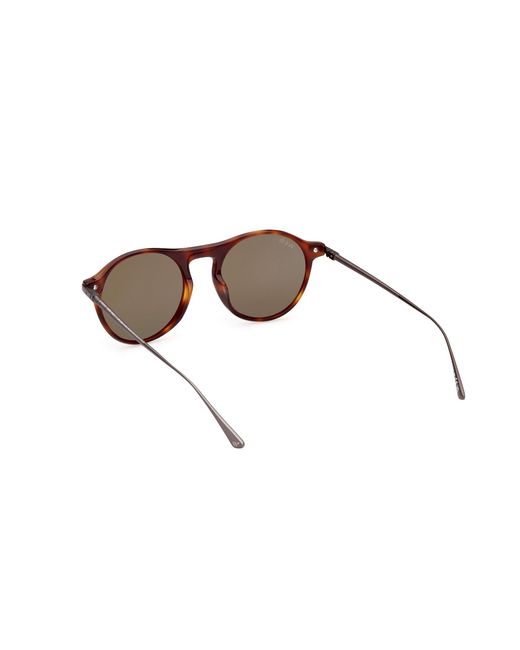 Web Black We0346 52N Sunglasses Acetate Round Normal