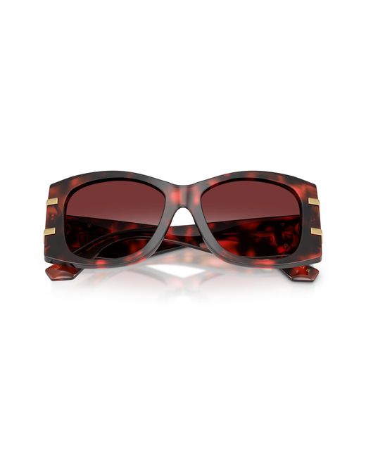 Dolce & Gabbana Black Dg4501 33588H Sunglasses Acetate Bordeaux Butterfly Normal Shaded