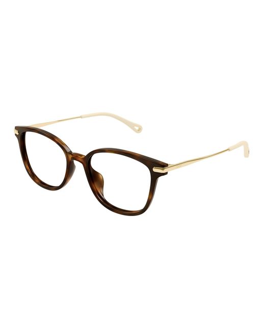 Chloé Black Ch0219Oa 002 Optical Frames Acetate Cat Eye