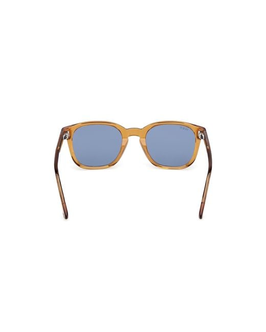 Web Blue We0390 39V Sunglasses Acetate Round Normal for men