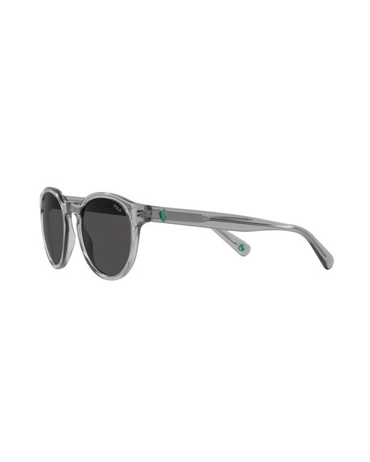 Polo Ralph Lauren Black Ph4192 541387 Sunglasses Acetate Round Normal for men