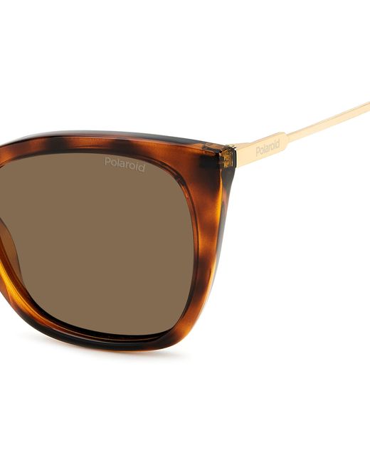 Polaroid Black Pld 4144/S/X 086/Sp Sunglasses Plastic Butterfly Polarized