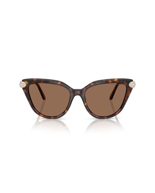 Swarovski Black Sk6039 100273 Sunglasses Acetate Cat Eye Normal