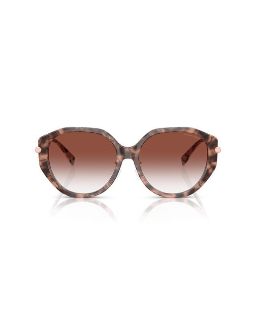 Michael Kors Black Mk2248D Jinan 4017V0 Sunglasses Acetate Geometric Normal Shaded