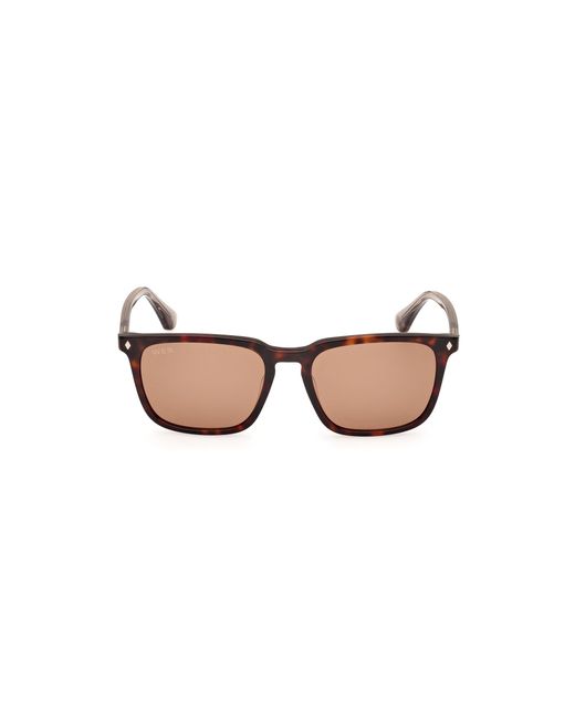 Web Black We0369 56E Sunglasses Acetate Squared Normal for men