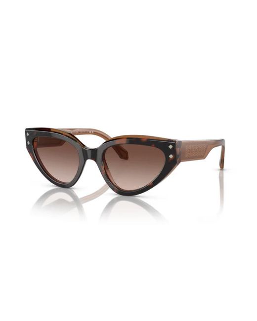BVLGARI Black Bv8256 549613 Outlet Sunglasses Acetate Cat Eye Shaded
