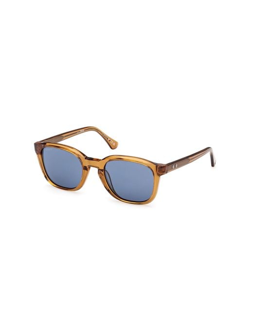 Web Blue We0390 39V Sunglasses Acetate Round Normal for men