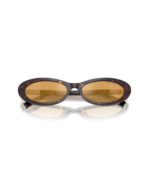 Tiffany & Co Black Tf4250 801574 Sunglasses Acetate Round Normal