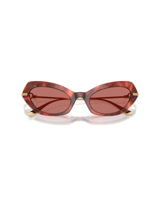Dolce & Gabbana Black Dg4473 344469 Sunglasses Acetate Butterfly Normal