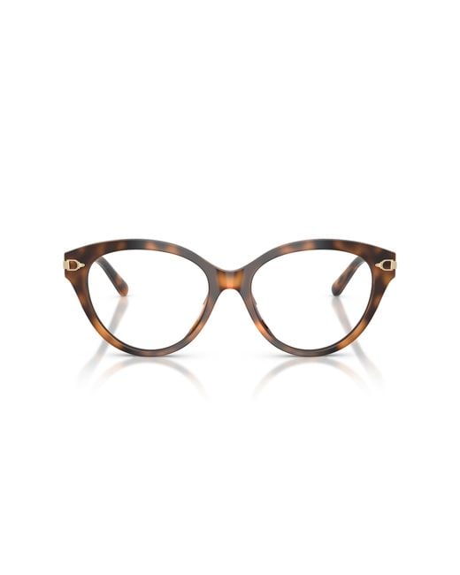 Ralph Lauren Black Rl6256U 6089 Optical Frames Acetate Squared Normal