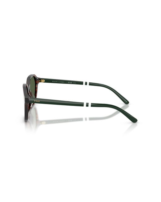 Polo Ralph Lauren Green Ph4234U 63159A Sunglasses Acetate Geometric Polarized for men
