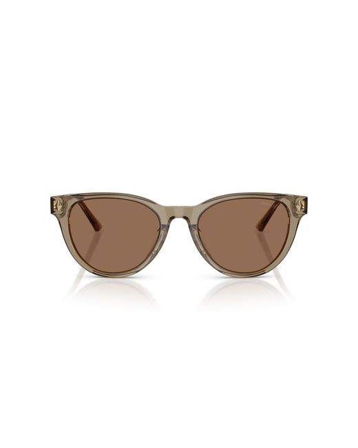 Jimmy Choo Black Jc5043D 505173 Sunglasses Acetate Pantos Normal