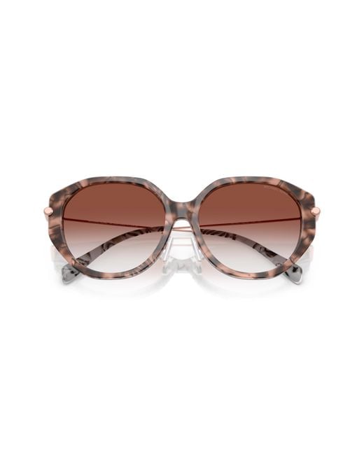 Michael Kors Black Mk2248D Jinan 4017V0 Sunglasses Acetate Geometric Normal Shaded