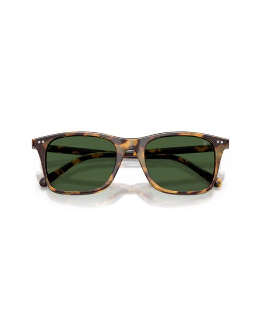 Ralph Lauren Green Rl8242U 633971 Sunglasses Acetate Pantos Normal for men