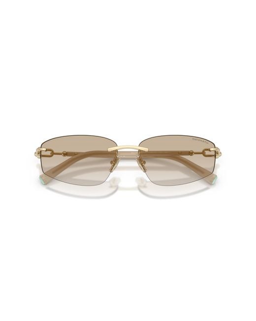 Tiffany & Co Black Tf3114 602111 Sunglasses Metal Geometric Normal Nuanced