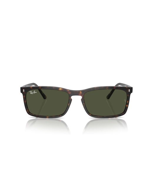 Ray-Ban Black Rb4435 Sunglasses