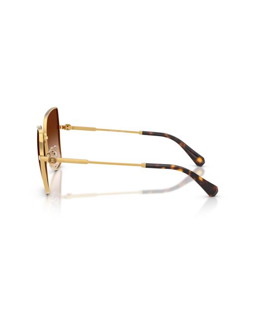 Swarovski Black Sk7037 400774 Sunglasses Metal Butterfly Normal Nuanced
