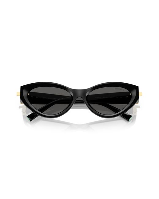 Tiffany & Co Black Tf4225U 8001S4 Sunglasses Injected Round Normal