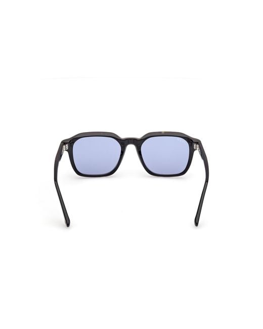 Web Black We0385 56V Sunglasses Acetate Squared Normal for men