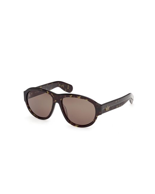 Adidas Originals Black Or0150 52J Sunglasses Acetate Roviex Pilot Normal