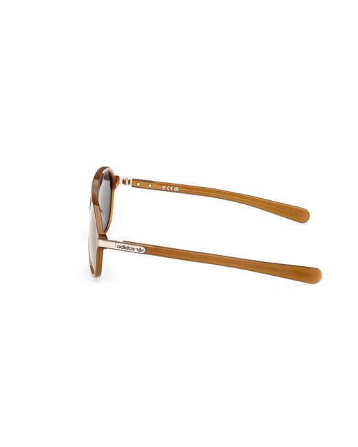 Adidas Black Or0136 42Q Sunglasses Acetate Pilot Normal for men