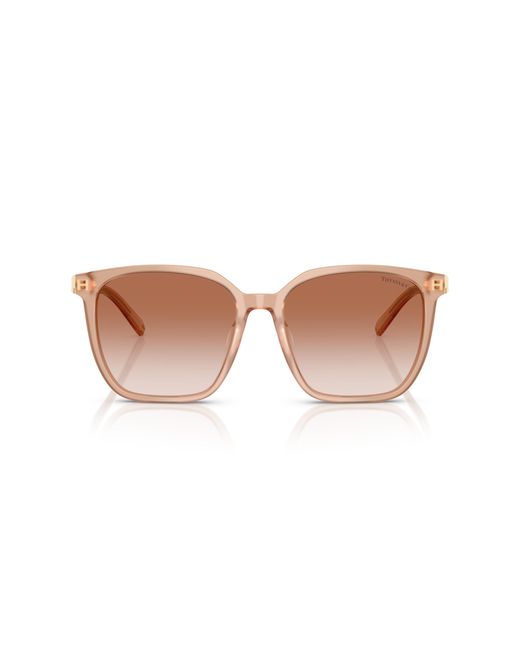 Tiffany & Co Black Tf4244D 826813 Sunglasses Acetate Squared Normal Nuanced