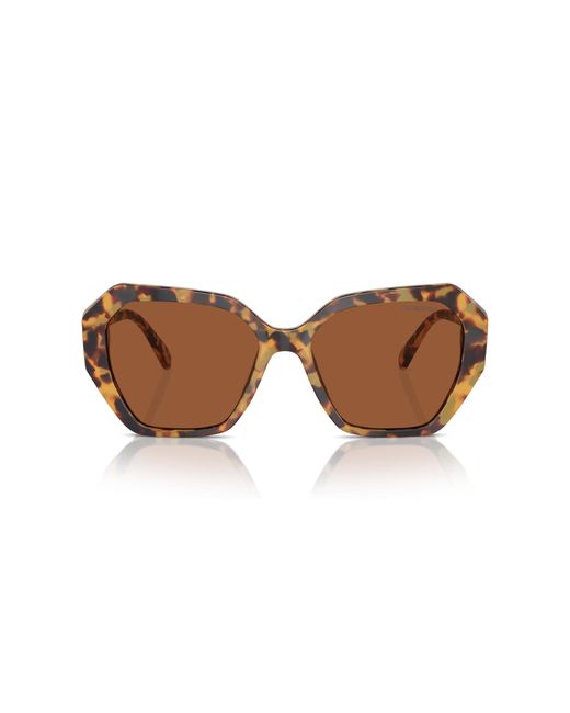 Swarovski Black Sk6017 100473 Sunglasses Acetate Geometric Normal