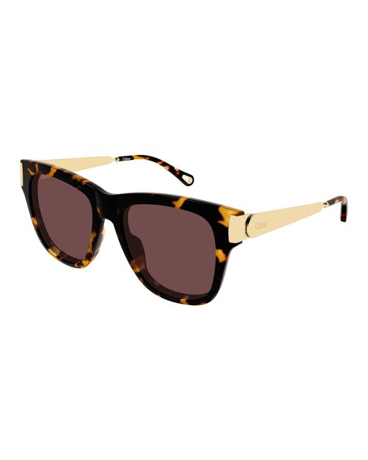 Chloé Black Ch0349S 003 Sunglasses Acetate Cat Eye