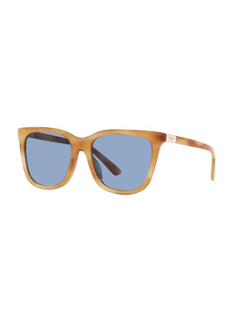 Polo Ralph Lauren Black Ph4201U 607972 Sunglasses Acetate Light Squared Normal