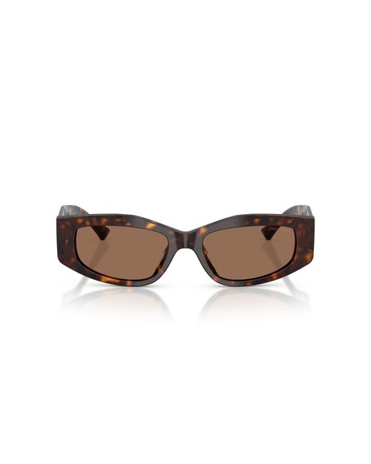 Jimmy Choo Black Jc5046Bu 500273 Sunglasses Acetate Geometric Normal