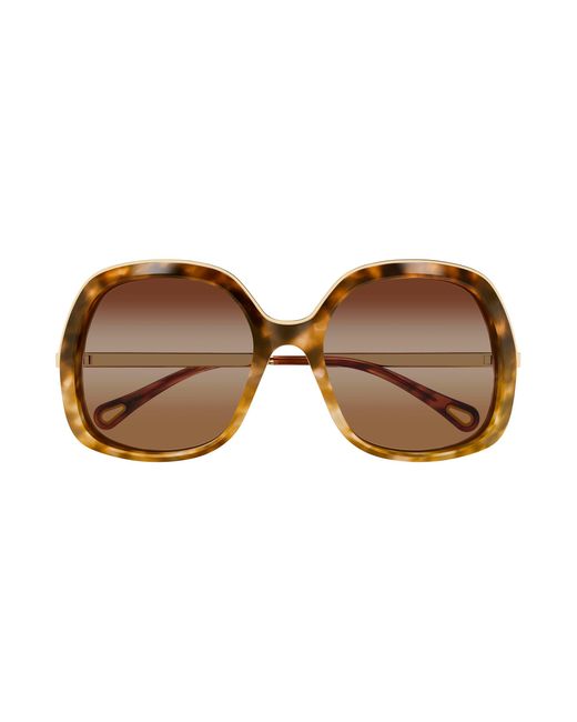 Chloé Black Ch0327S 002 Sunglasses Acetate Squared