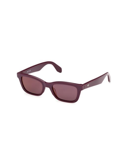 Adidas Black Or0117 81U Sunglasses Acetate Bordeaux Squared Normal