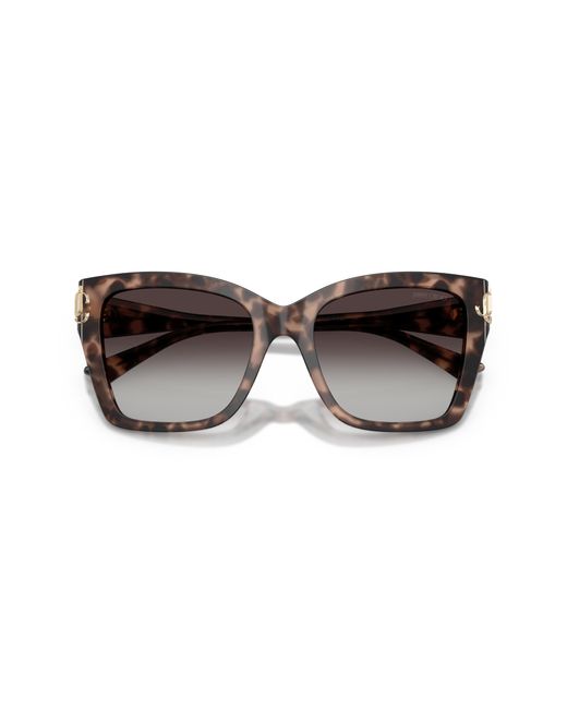 Jimmy Choo Black Jc5012 50708G Sunglasses Acetate Squared Normal Nuanced