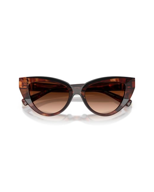 Dolce & Gabbana Black Dg4497 322274 Sunglasses Acetate Cat Eye Normal Shaded