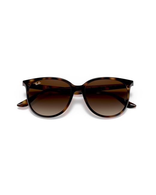 Ray-Ban Black Ray