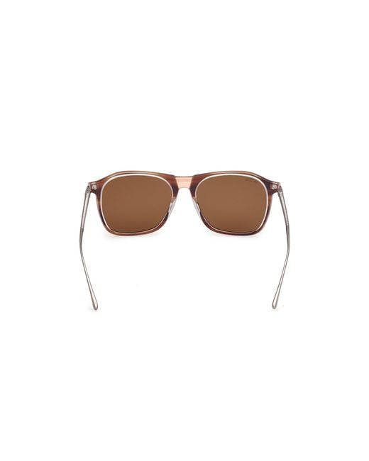 Web Black We0386 56E Sunglasses Acetate Squared Normal