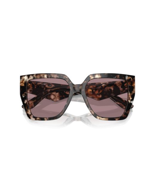 Dolce & Gabbana Black Dg4438 34387N Sunglasses Acetate Squared Normal