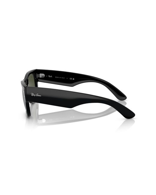 Ray-Ban Black Ray