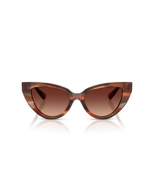 Dolce & Gabbana Black Dg4497 322113 Sunglasses Acetate Cat Eye Normal Shaded