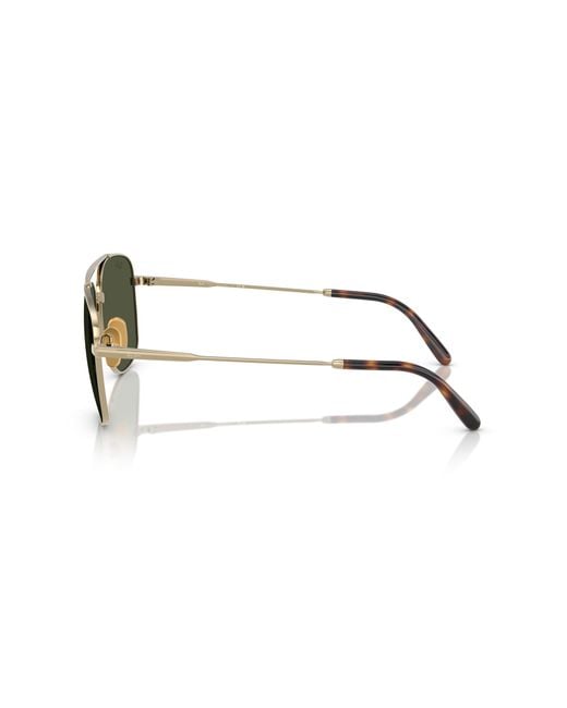 Ray-Ban Black Ray
