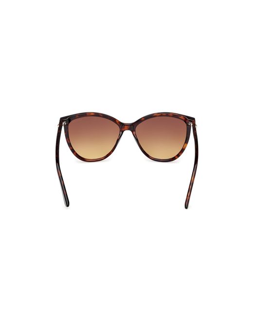 Guess Black Gu00256 52F Sunglasses Injected Cat Eye Normal