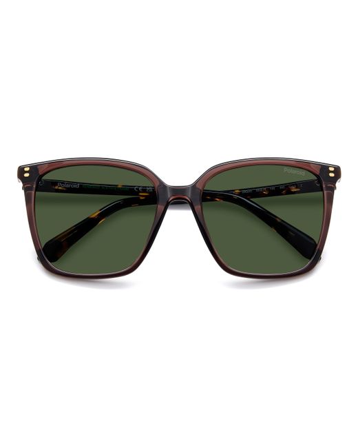 Polaroid Green Pld 4201/S/X 09Q/Uc Sunglasses Acetate Squared Polarized