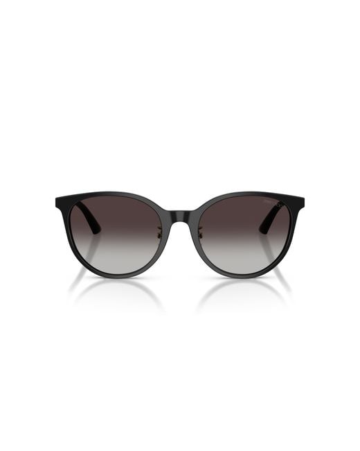 Jimmy Choo Black Jc5056Jd 50178G Sunglasses Acetate Pantos Normal Shaded