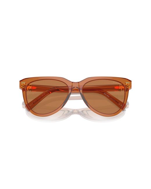 Miu Miu Black Mu 12Zs 15T2Z1 Sunglasses Acetate Pantos Normal