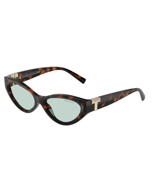 Tiffany & Co Black Tf4225U 8429D9 Sunglasses Injected Round Normal