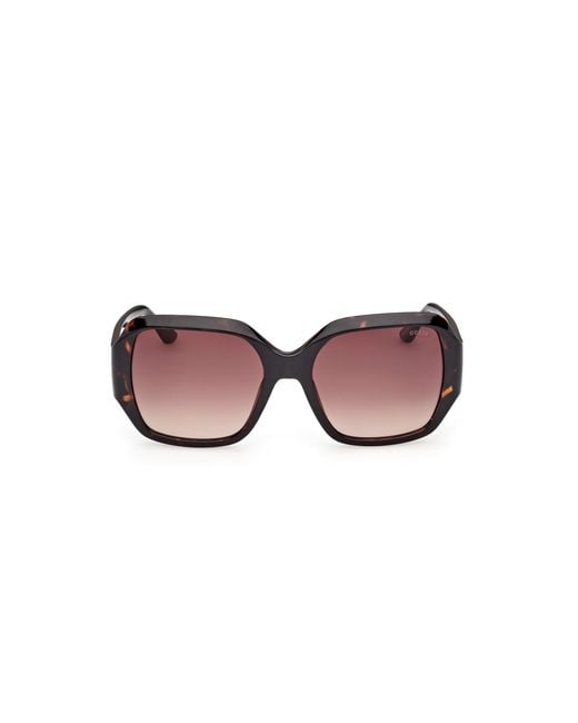 Guess Black Gu00283 52F Sunglasses Injected Squared Normal