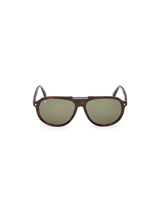 Web Black We0394 56N Sunglasses Acetate Pilot Normal for men